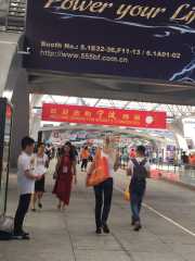 外贸整合营销公司