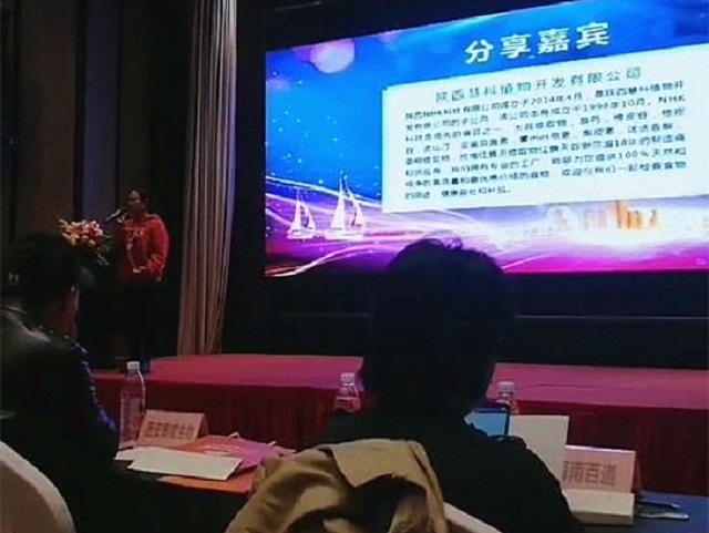 外贸网站建设
